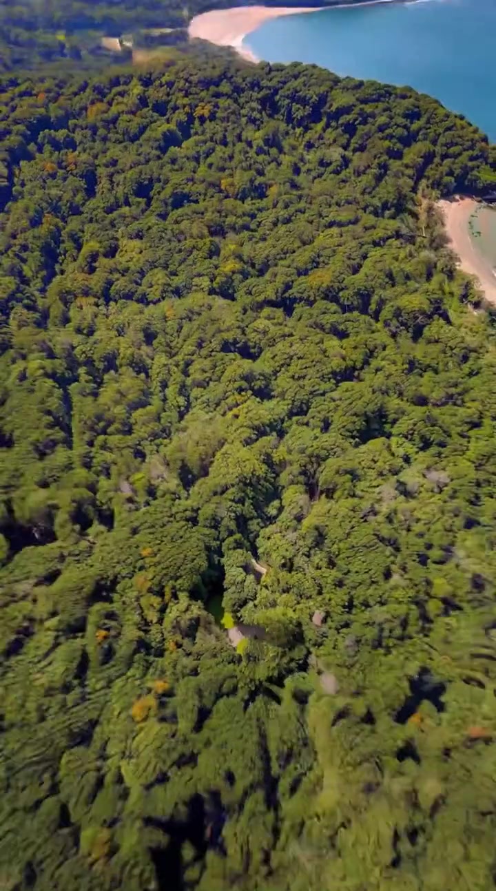 Luxury Coastal Architecture — video still